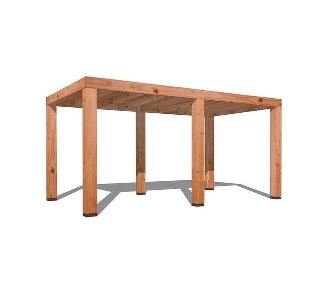 Douglas Overkapping Strak 3x5m. | Type 01 01